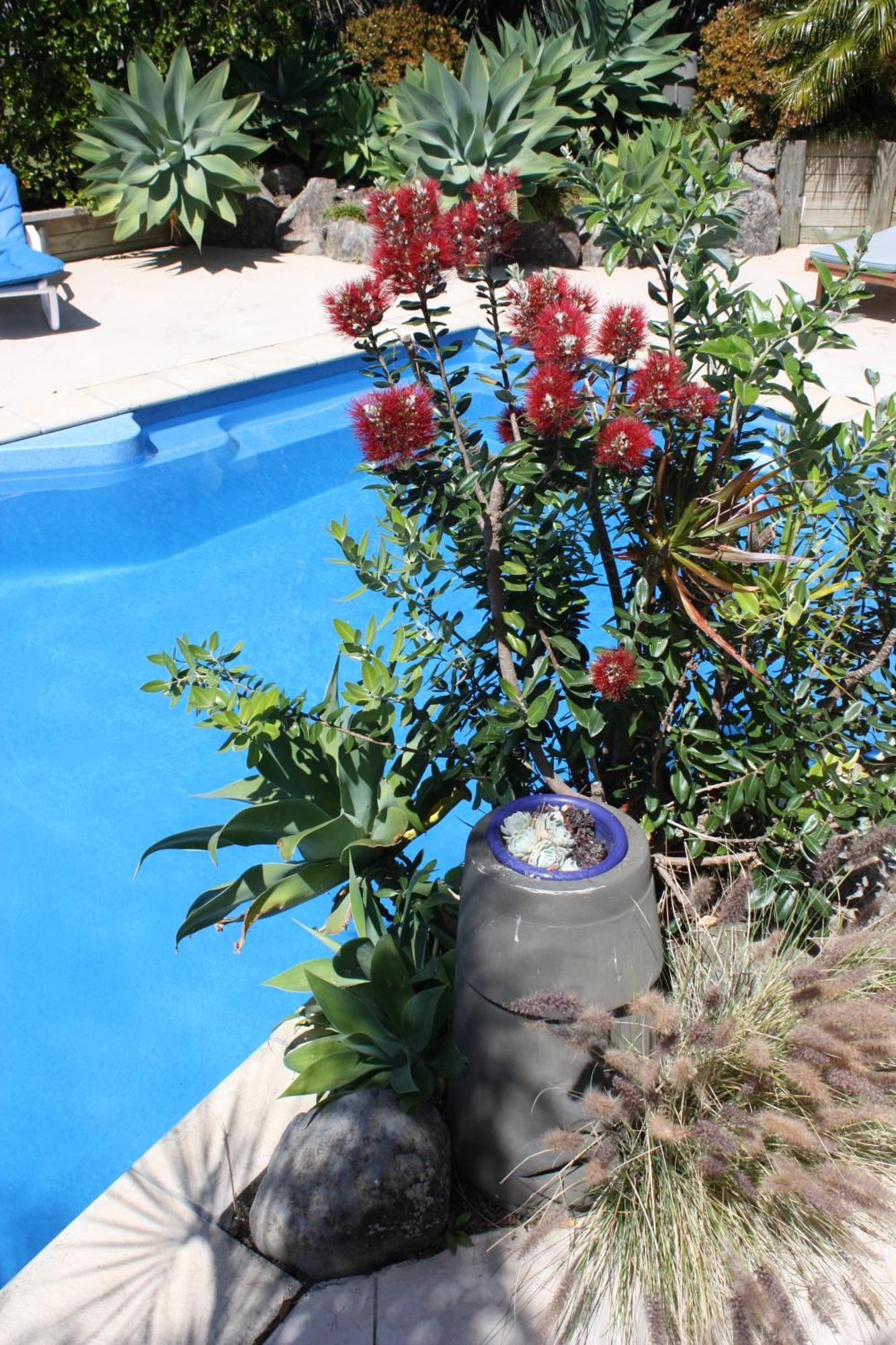 Snells Beach Motel מראה חיצוני תמונה